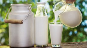 Ціна на молоко до кінця 2021 року зросте на 10%