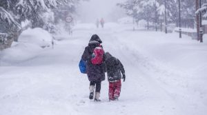 В Україну йдуть сильні снігопади й хуртовини: коли чекати негоди