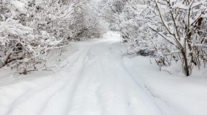 Синоптикиня розповіла, якою буде погода взимку в Україні