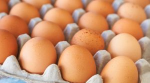 В Україні знову змінилися ціни на яйця
