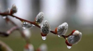 У середині квітня очікується мокрий сніг: прогноз погоди на Рівненщині
