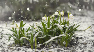 Прогноз погоды на 16 апреля: в Украине снова будет идти снег