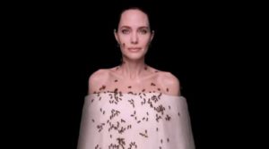 “З Джолі в головній ролі”: National Geographic зняв приголомшливий фотопроєкт на захист бджіл (відео)