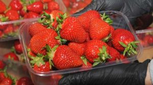 В Україні різко впали ціни на полуницю