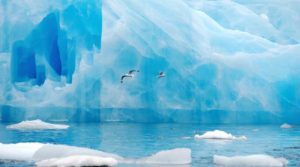 В Арктиці льоди тануть удвічі швидше, ніж вважали вчені: чому це небезпечно