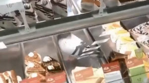 “Пернатий десерт”: у рівненському супермаркеті голуб заліз у холодильник із солодощами (відео)