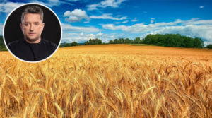 В Україні розпочалася активна підготовка до збору зернових культур – нардеп Соломчук
