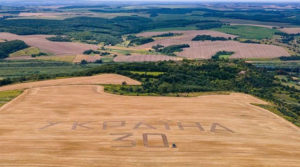 На Рівненщині фермери зробили на полі величезний надпис “Україна 30” (фото)