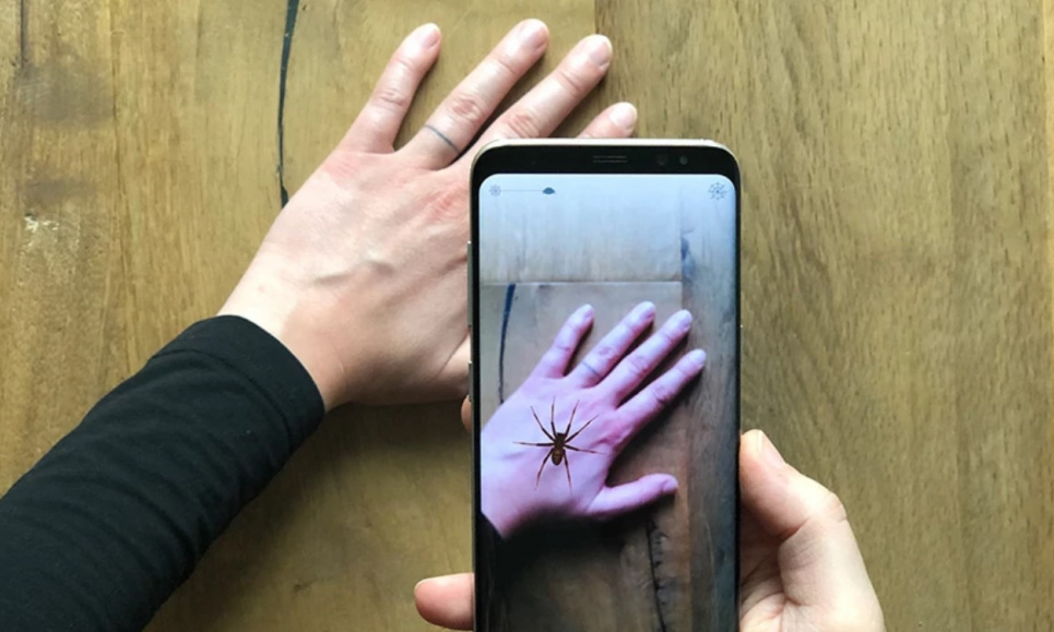Вчені створили мобільний додаток, який допомагає побороти страх павуків