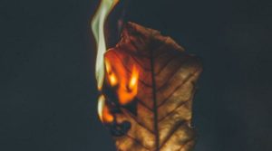 “У 350 разів шкідливіше ніж куріння”: експерти розповіли, чому не можна спалювати опале листя
