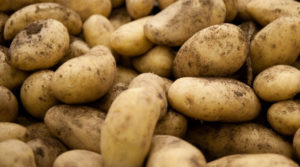 Україна втричі скоротила імпорт картоплі