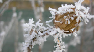 “Послаблення морозів та рясні опади”: яка погода буде в Україні на католицьке Різдво