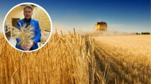Депутат агрокомітету розвінчав 5 найпопулярніших міфів про сільське господарство