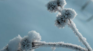 “Спершу тріскучі морози, а потім різке потепління”: яка погода буде в Україні до кінця зими