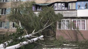 Дерево впало на будинок