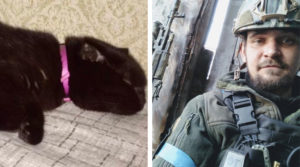 “Це було його останнє прохання”: волонтери врятували кота загиблого захисника Маріуполя