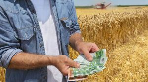 Аграрії України залучили доступних кредитів на 57 мільярдів