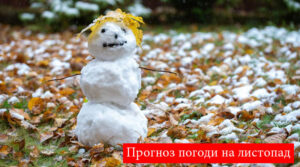 “Засніжить та прийдуть морози”: синоптик розповів, якою буде погода у листопаді