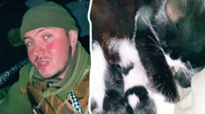 Воїн ЗСУ в окопі під обстрілом прийняв пологи у кішки (ВІДЕО)