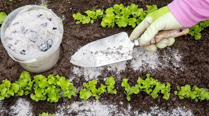 Складові компосту та їх вплив на час готовності