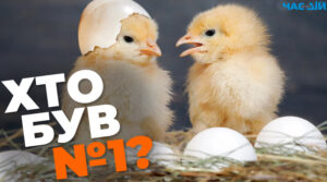 ChatGPT пояснив, що було першим – курка чи яйце?