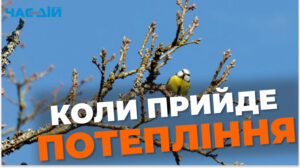 Коли в Україні потеплішає: прогноз синоптика