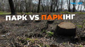 У Києві за ніч вирубали 60 дерев для побудови незаконного паркінгу