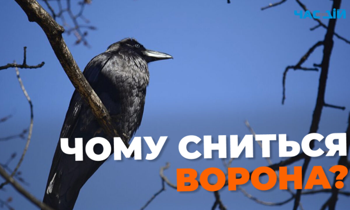 Сниться ворона: значення та тлумачення сну