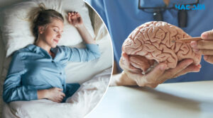 Нейробіологи назвали 5 звичок, які зберігають здоров’я мозку