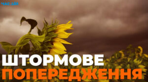 Частину України охопить негода: оголошено штормове попередження