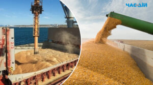 Україна стала третім за величиною постачальником сільгосппродукції в ЄС