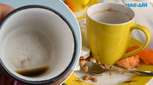 Як відмити білі чашки від слідів чаю та кави: простий спосіб