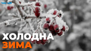 Синоптики розповіли, якою буде зима в Україні