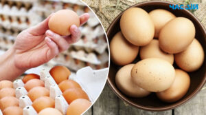 В Україні значно подорожчали курячі яйця: які ціни у супермаркетах