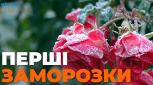 На вихідних Україну накриють перші заморозки: прогноз синоптика