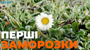 Перші заморозки та посуха: синоптик дав невтішний прогноз на вересень в Україні