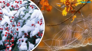 “Перший сніг і бабине літо”: якою буде погода у жовтні в Україні