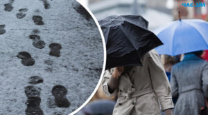 В Україну насувається похолодання та мокрий сніг: прогноз синоптика