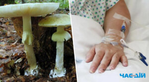 Померла на 7-му добу: на Львівщині 37-річна жінка отруїлась грибами