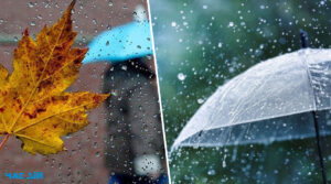 Приготуйте парасольки: в цих областях України пройдуть сильні дощі 