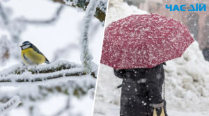 “Снігові замети, хуртовини та сильний вітер”: синоптики дали прогноз погоди на зиму