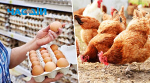 Нардеп пояснив чи буде дефіцит яєць та птиці на ринку