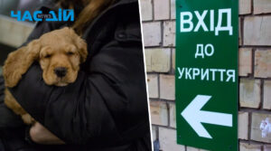 В Україні планують дозволити перебувати з тваринами в укритті