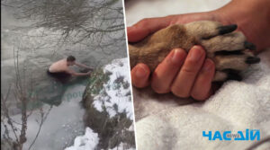 На Київщині чоловік врятував собаку, який впав у крижану воду (ВІДЕО)