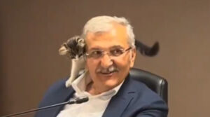 У Туреччині кошеня залізло на мера і ледь не зірвало засідання уряду (ВІДЕО)