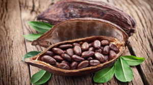 Рекордно високі ціни на какао вплинуть на вартість шоколаду у світі – Bloomberg
