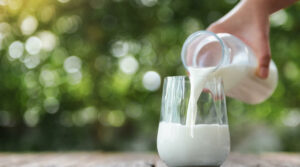 Сире чи пастеризоване: яке молоко корисніше для здоров’я