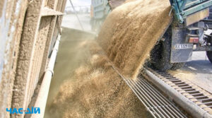 Єврокомісія запровадить мито на зерно з росії та Білорусі в розмірі €95 за тонну – FT