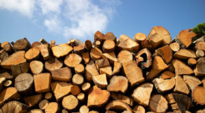 На Тернопільщині чоловік обдурював знайомих, «продаючи» неіснуючі дрова