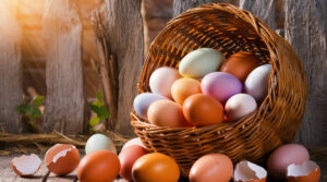 Що буде з організмом, якщо з’їдати по 10 яєць щодня